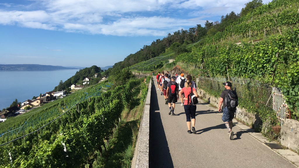 2019: Ausflug Youtility - Weinberge