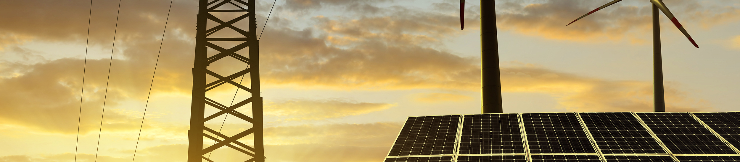 Bild Dienstleistung: Herkunftsnachweise