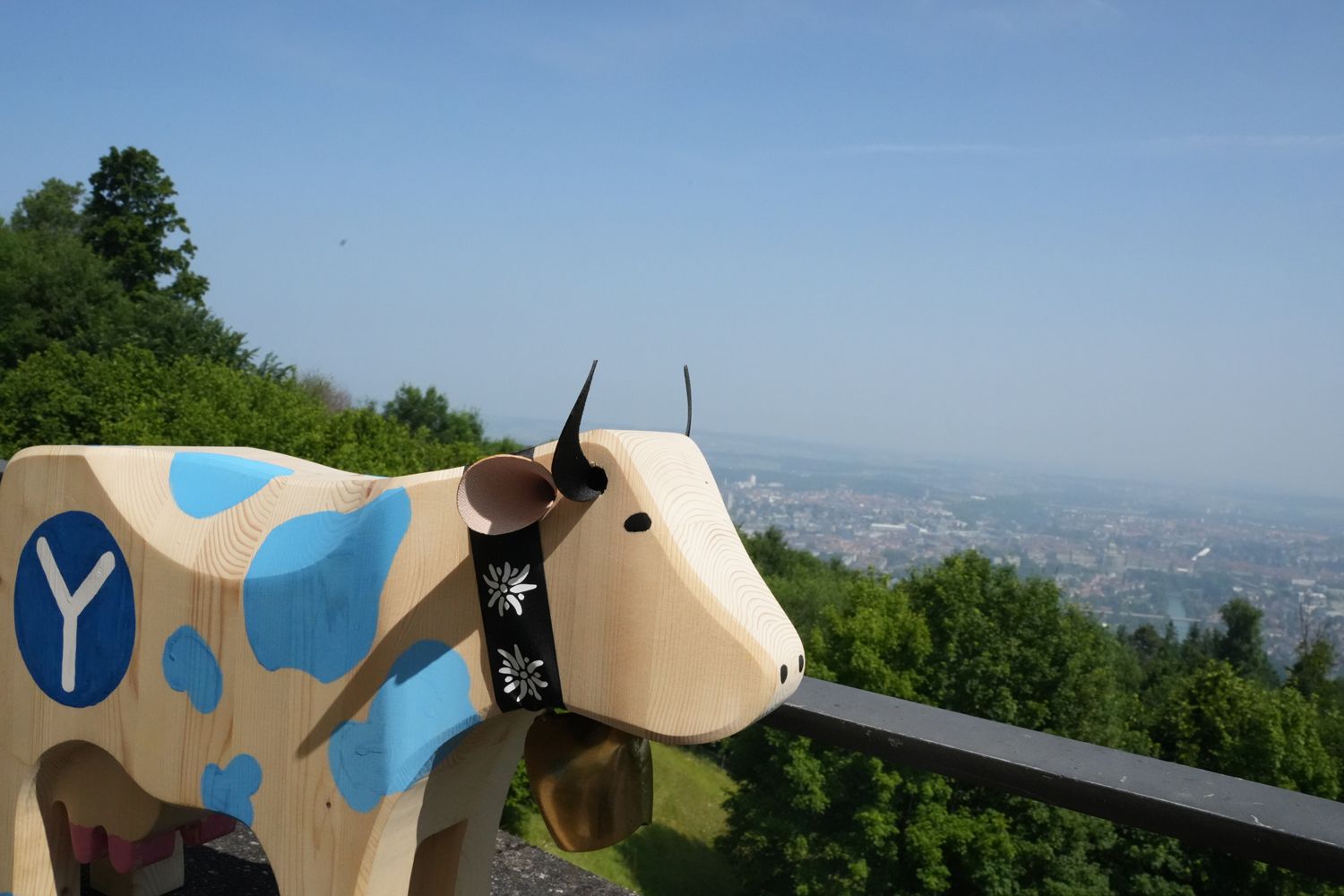 Impressionen Energiefestival Youtility auf dem Gurten Referent